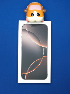 PA100634_thumb.png