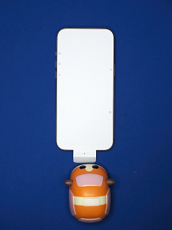 PA100651_thumb.png