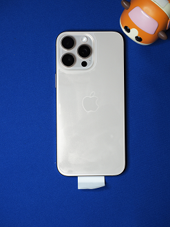 PA100674_thumb.png