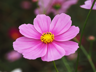 PA261362_thumb.png
