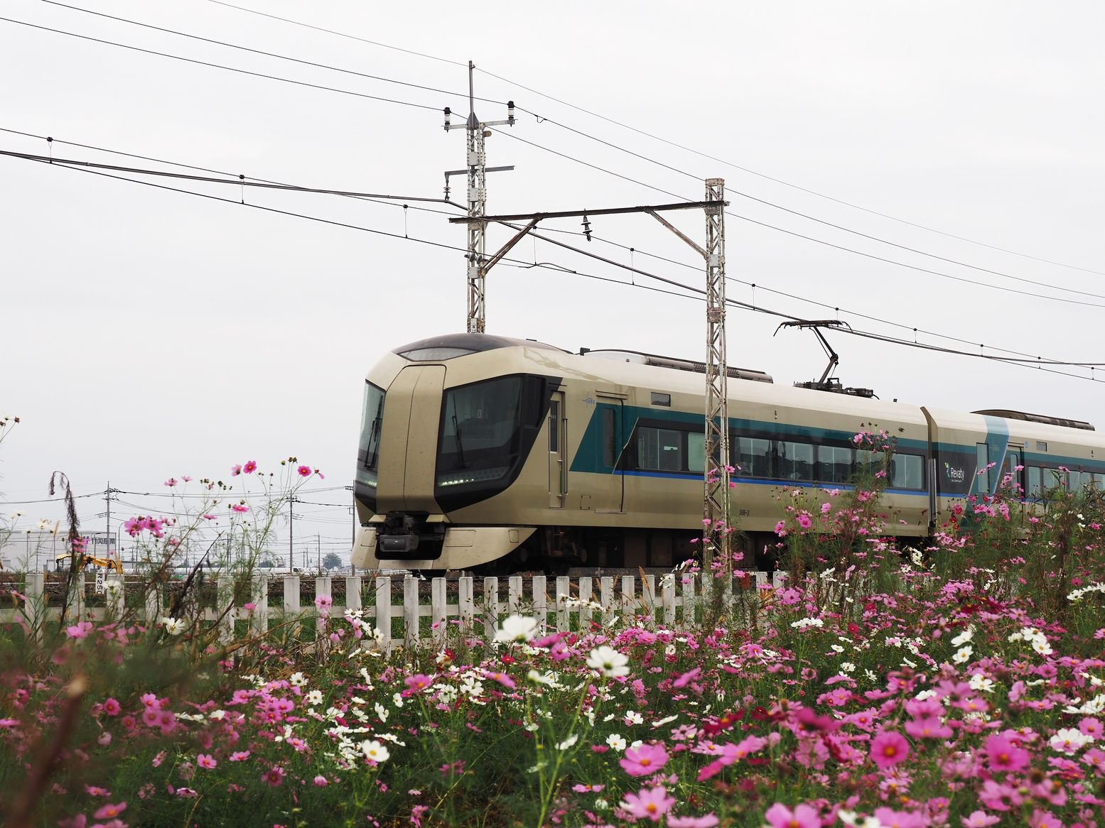 PA261372.jpg