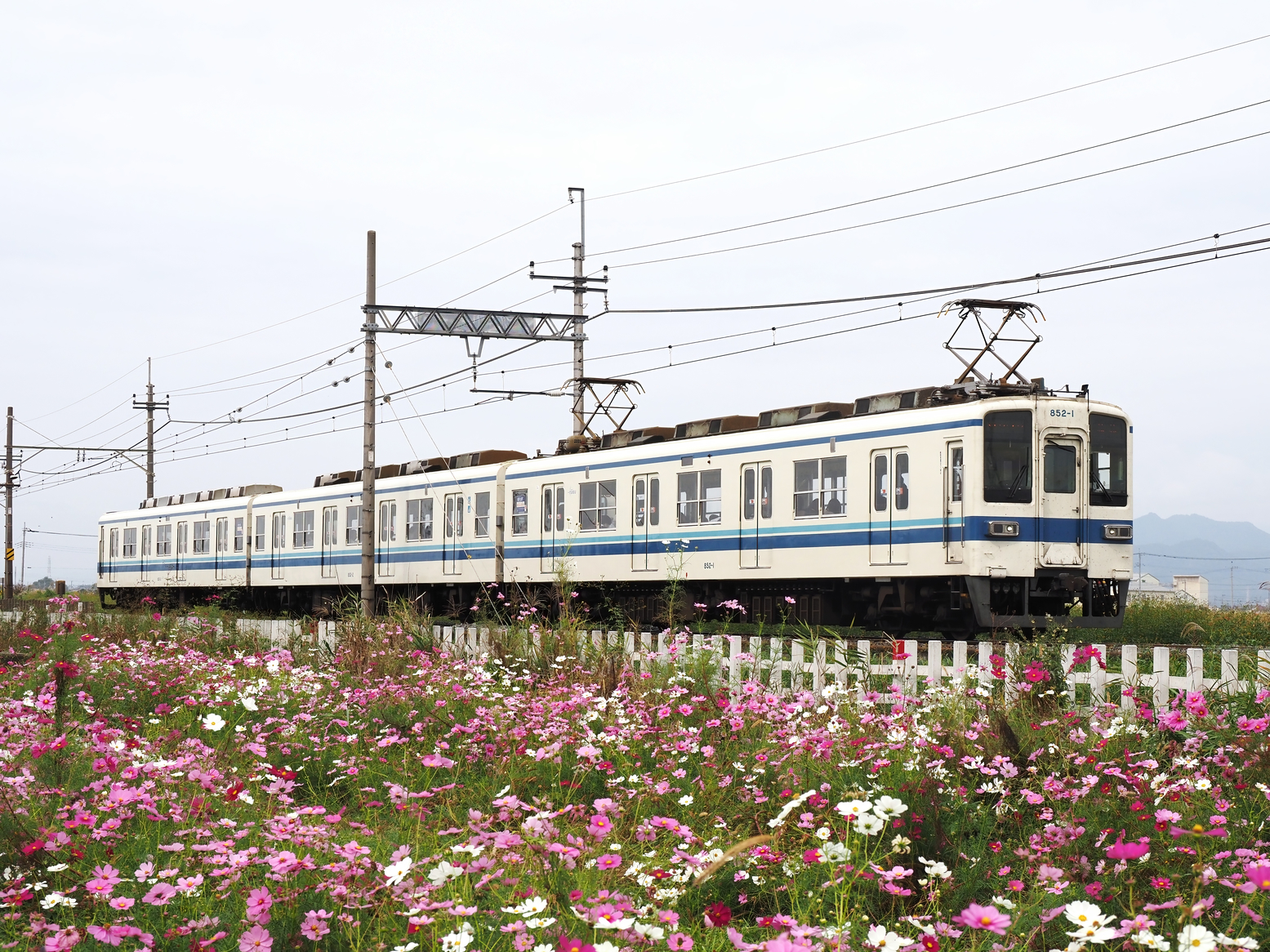 PA261437.jpg
