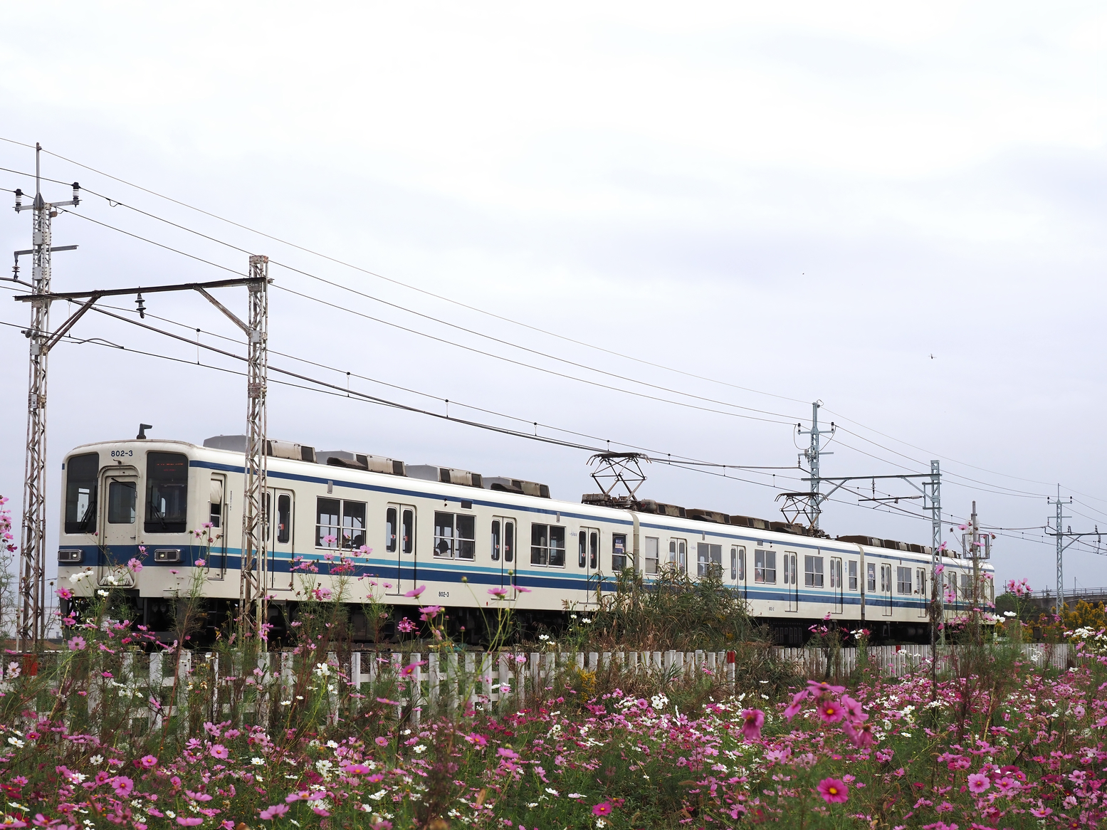 PA261457.jpg
