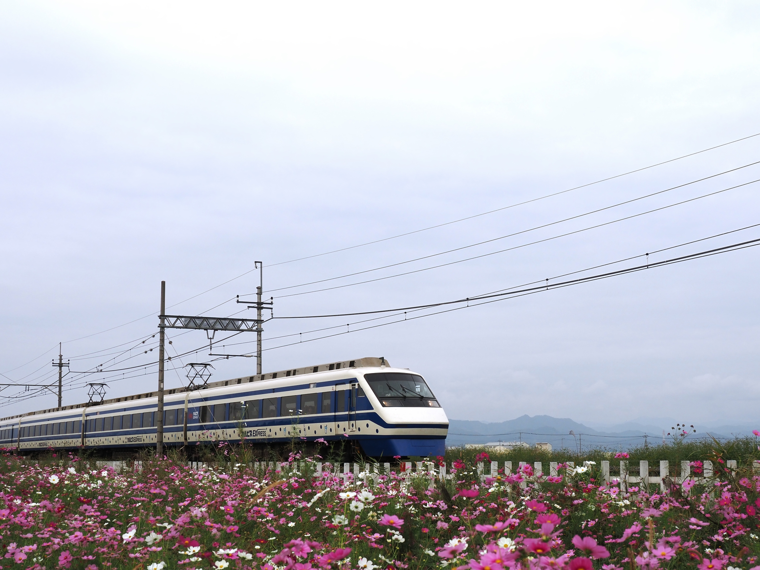 PA261468.jpg