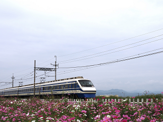 PA261468_thumb.png