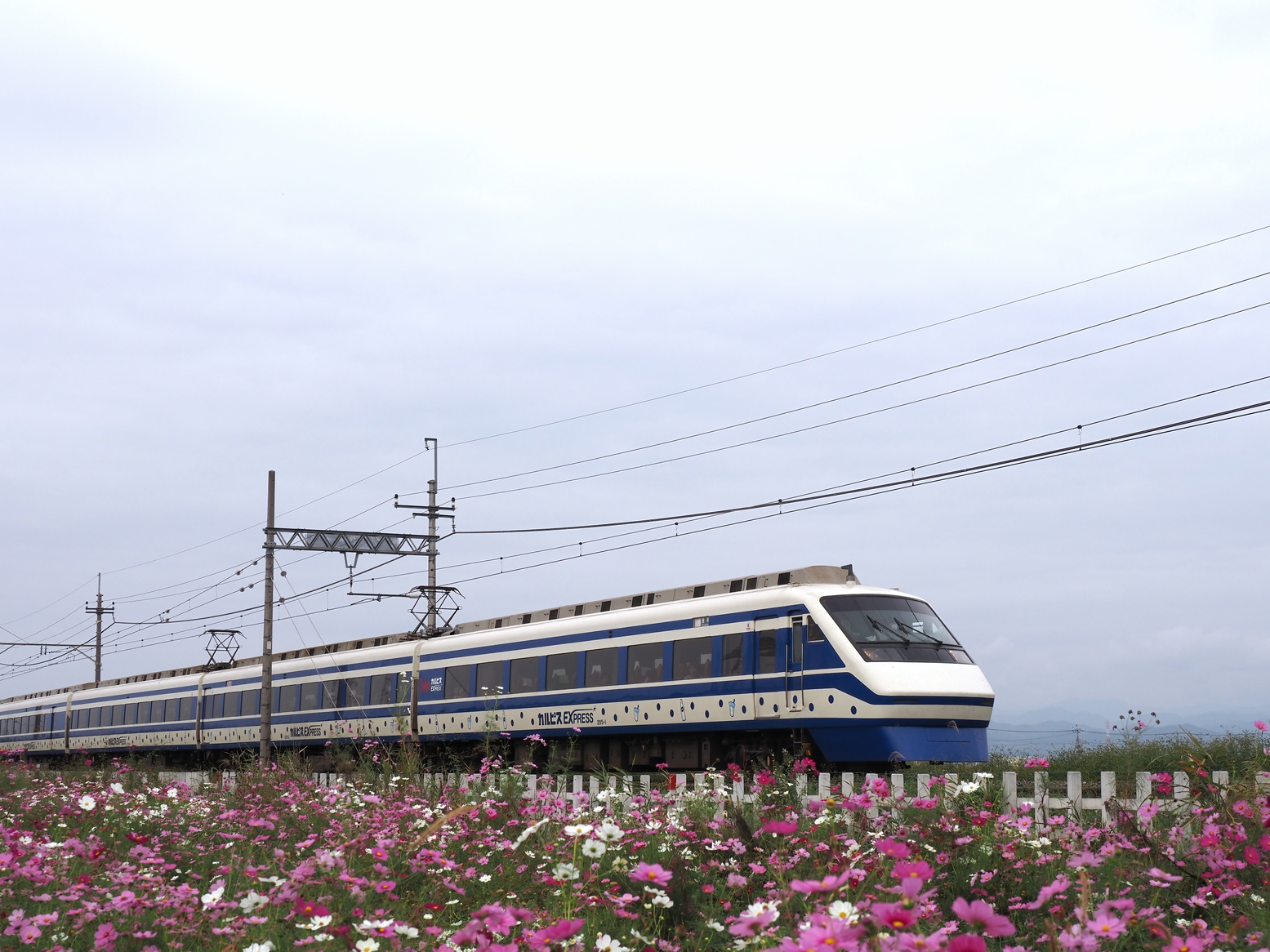 PA261479.jpg