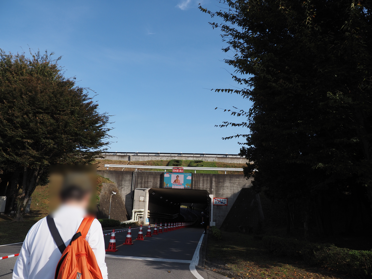 PA271498.jpg