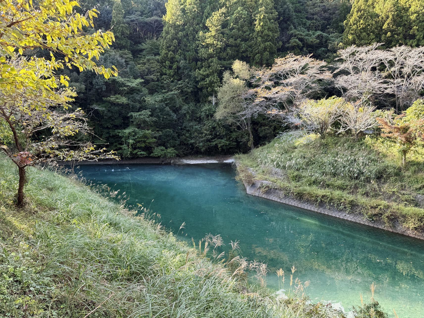 PB090001-130.jpg