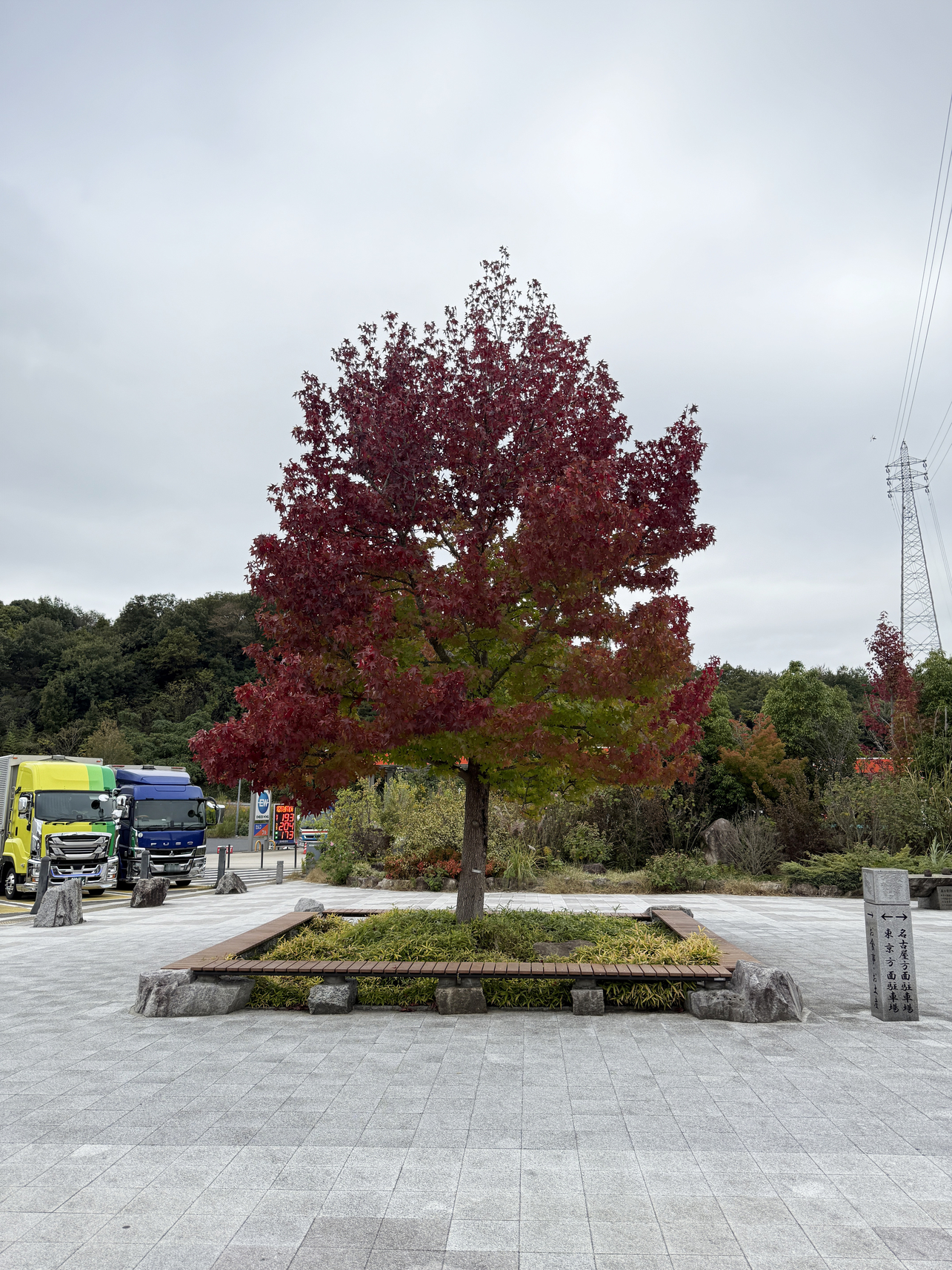 PB090700-246.jpg