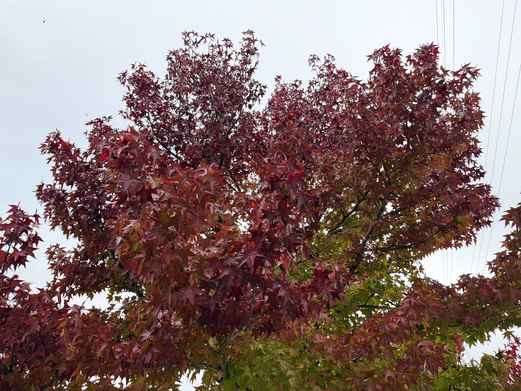 PB090700-248.jpg