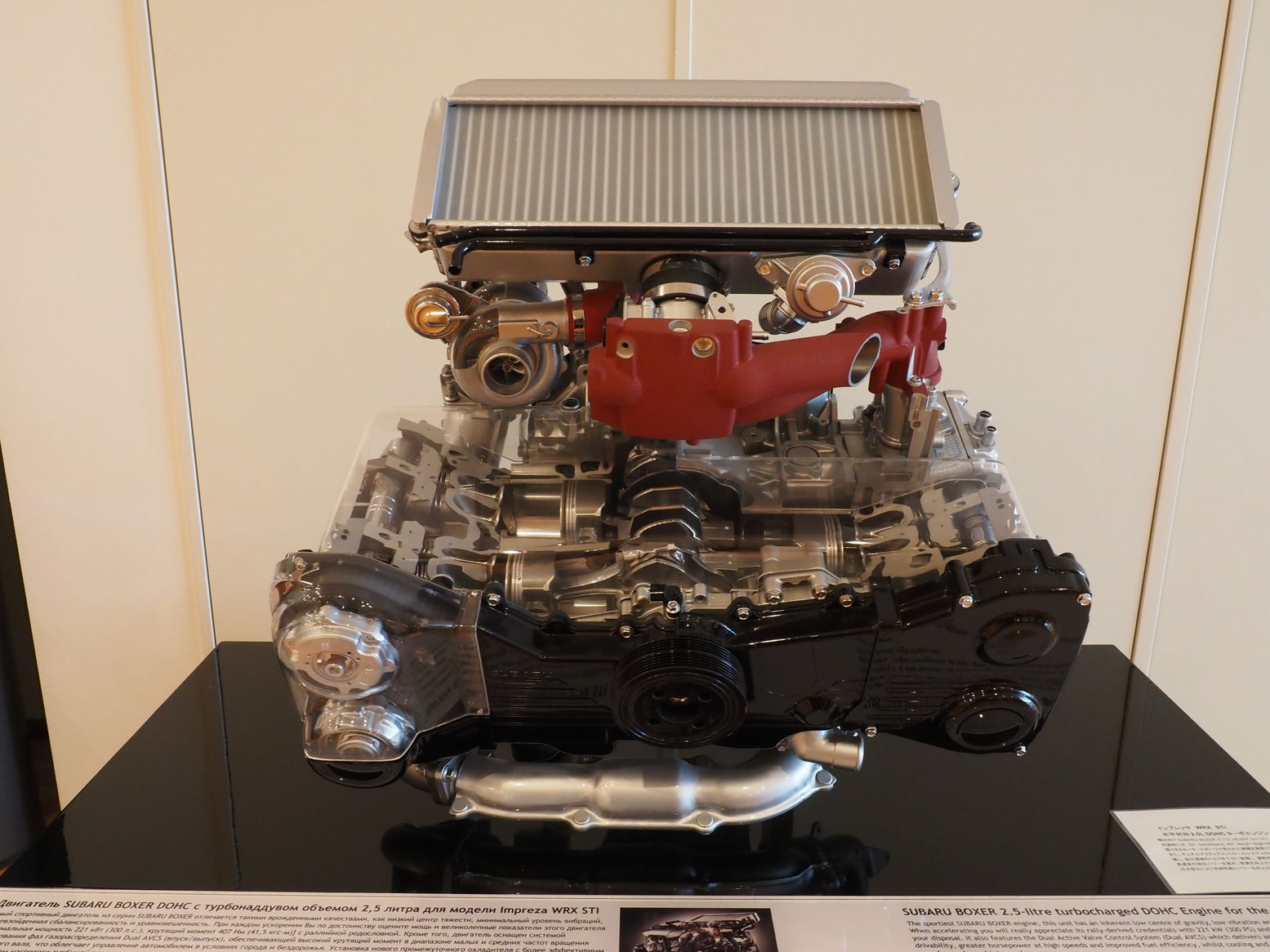 PC250820.jpg