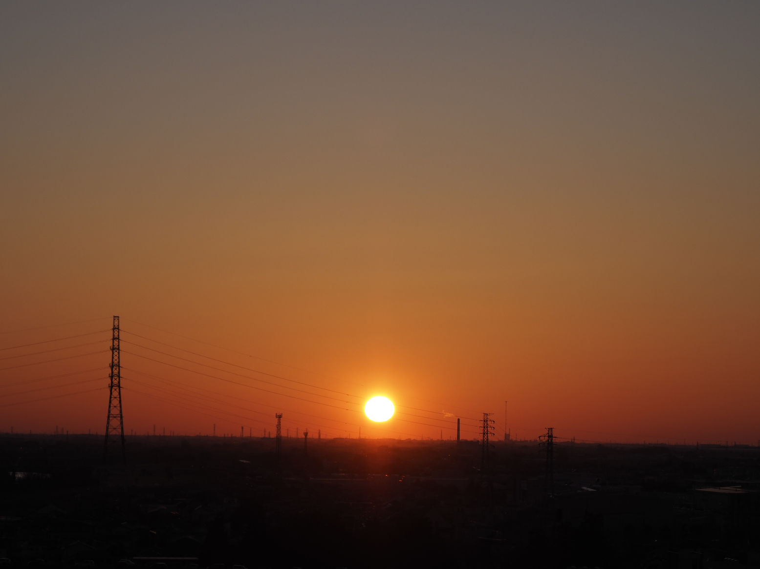 P1010892.jpg