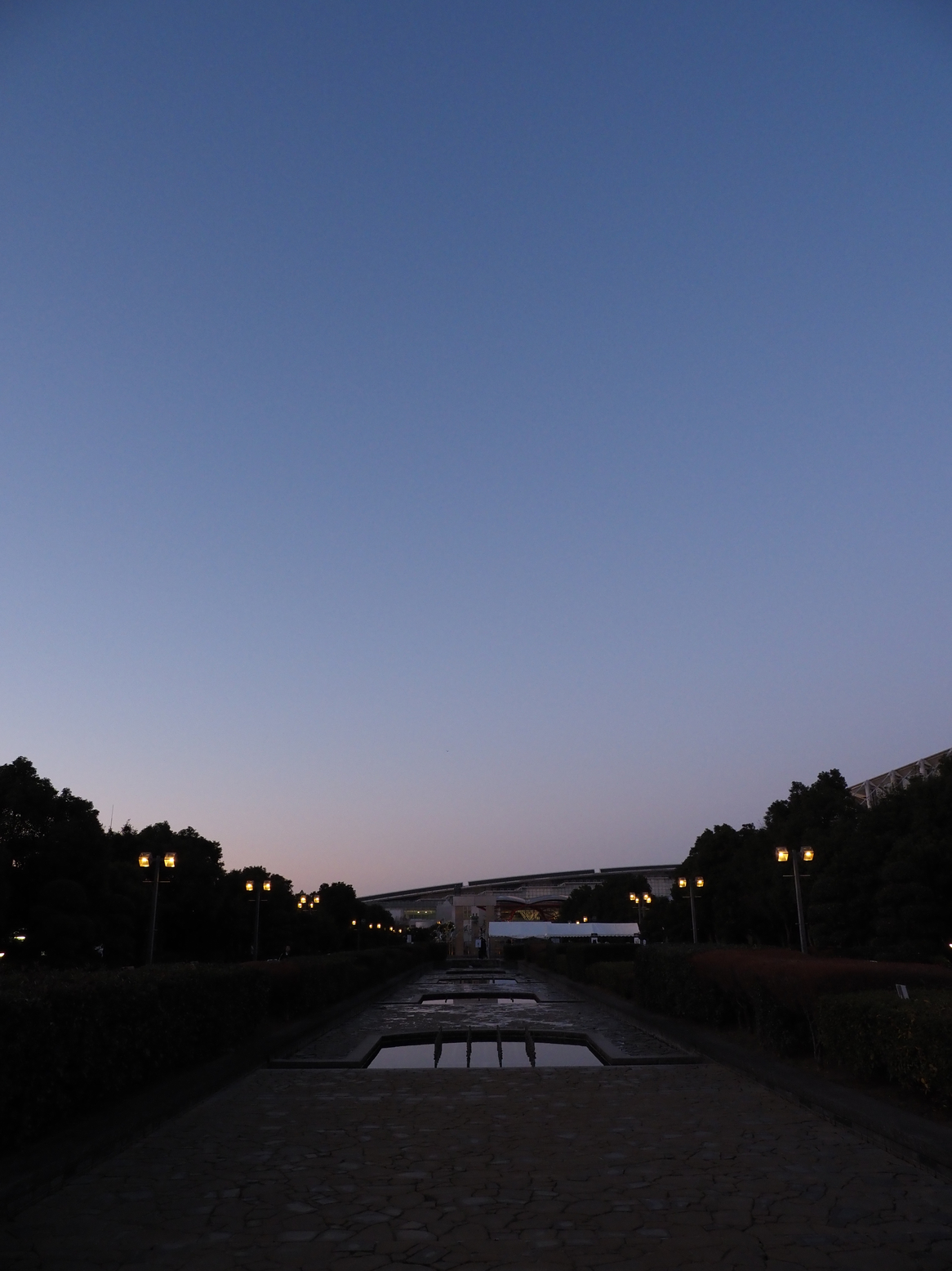 P1110004.jpg
