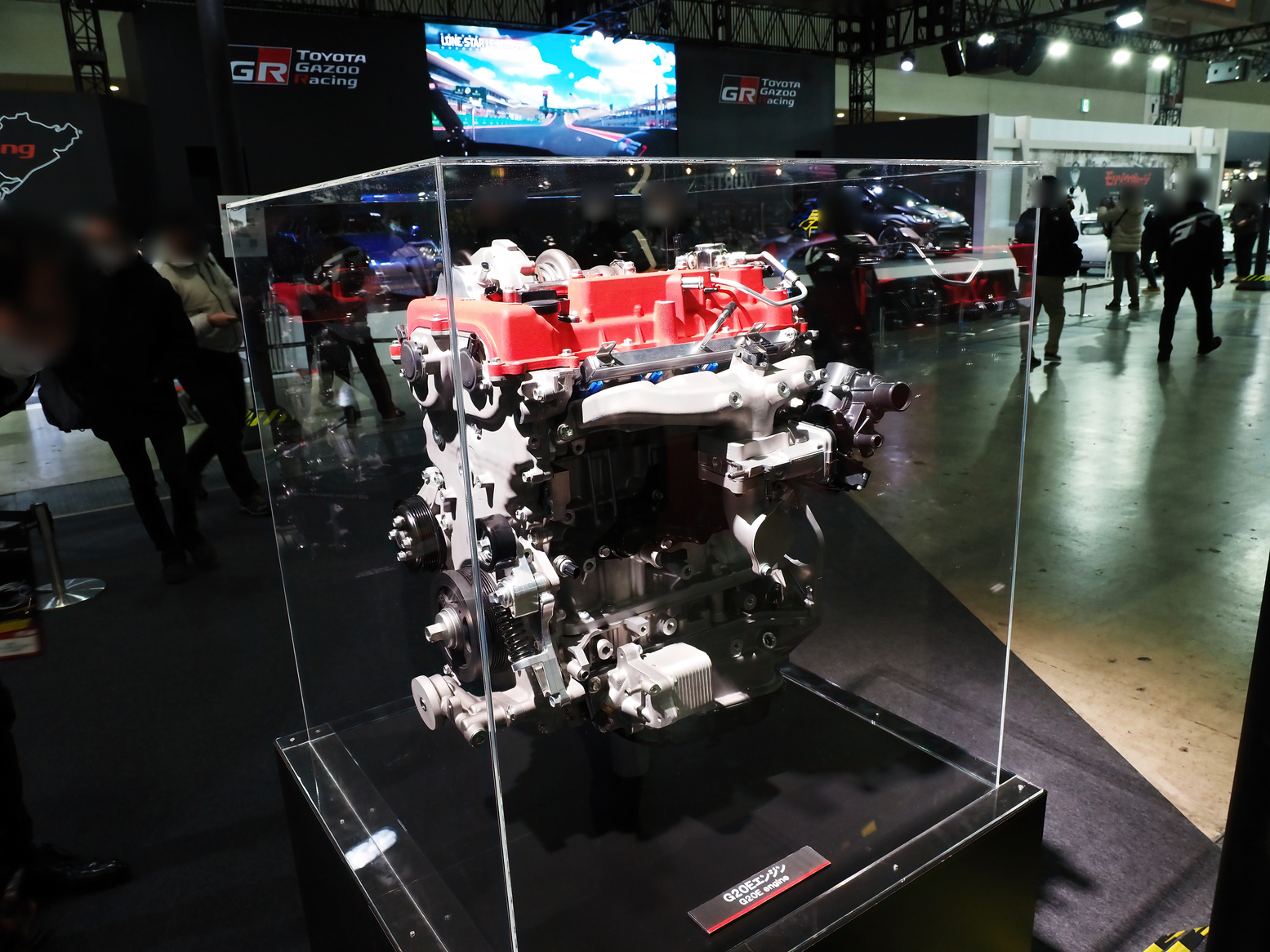 P1110044.jpg