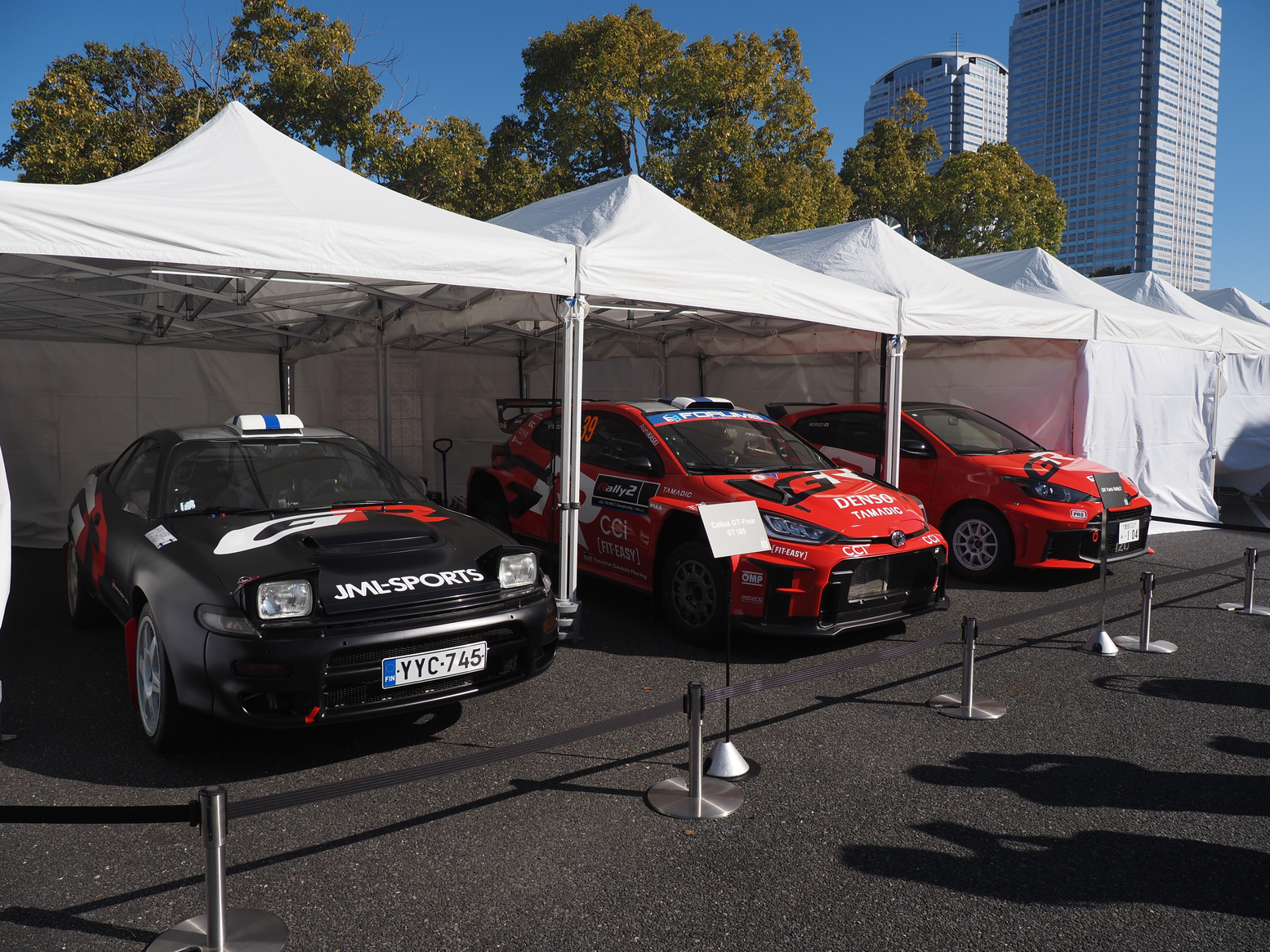 P1110546.jpg