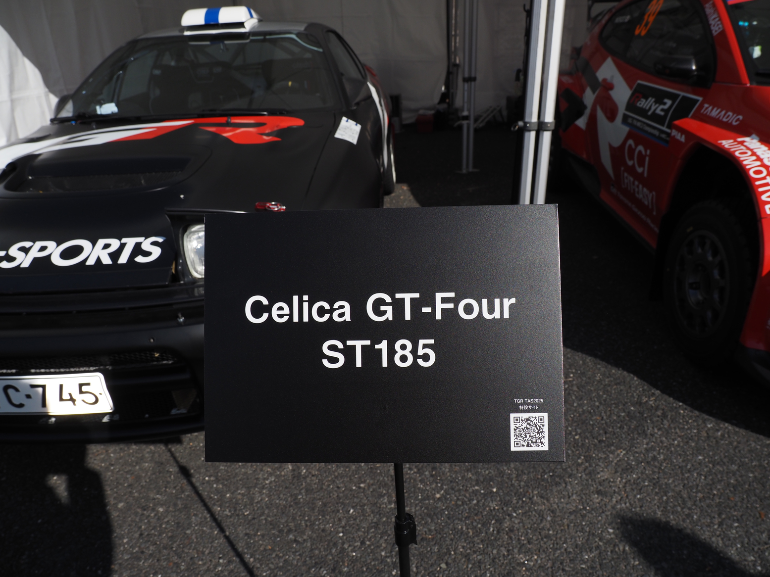 P1110551.jpg