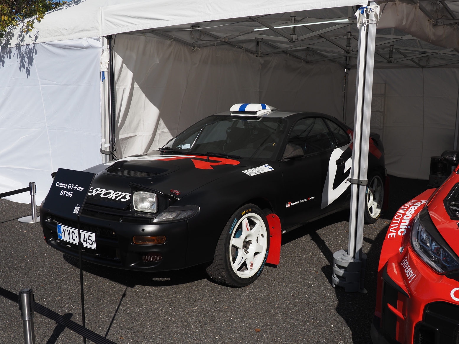 P1110558.jpg