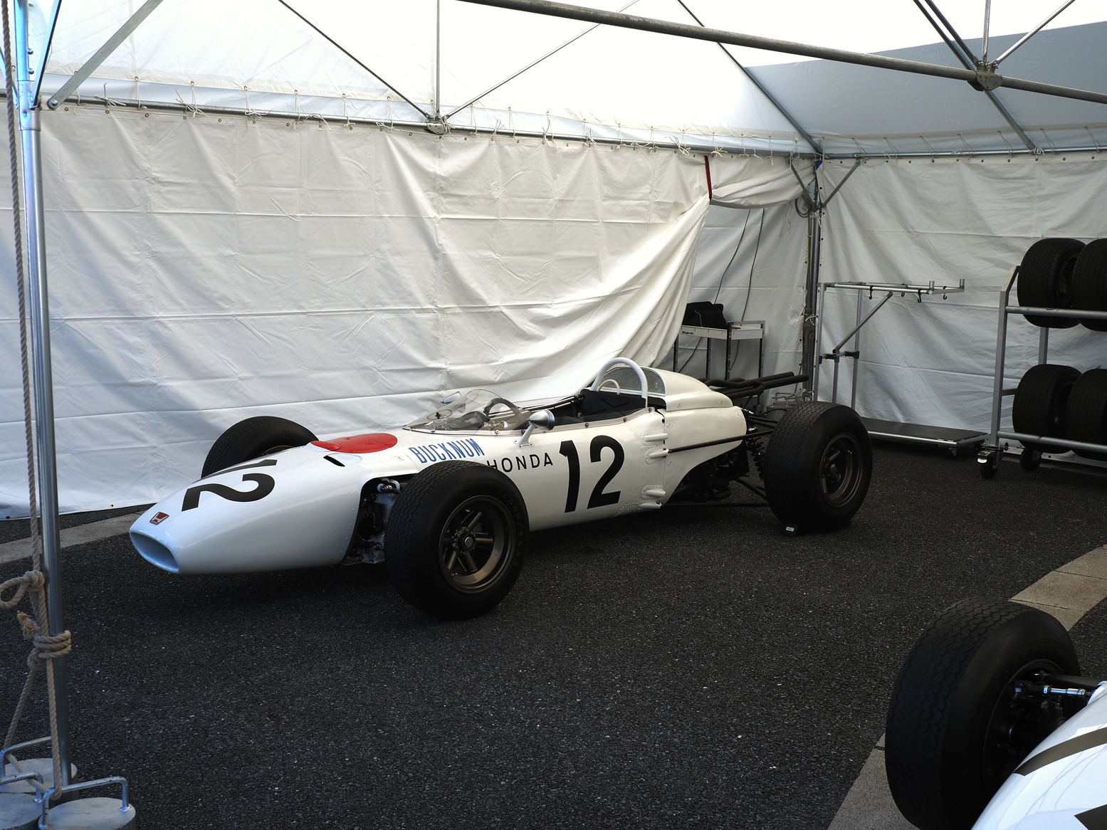 P1110566.jpg