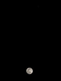 P1142440_thumb.png