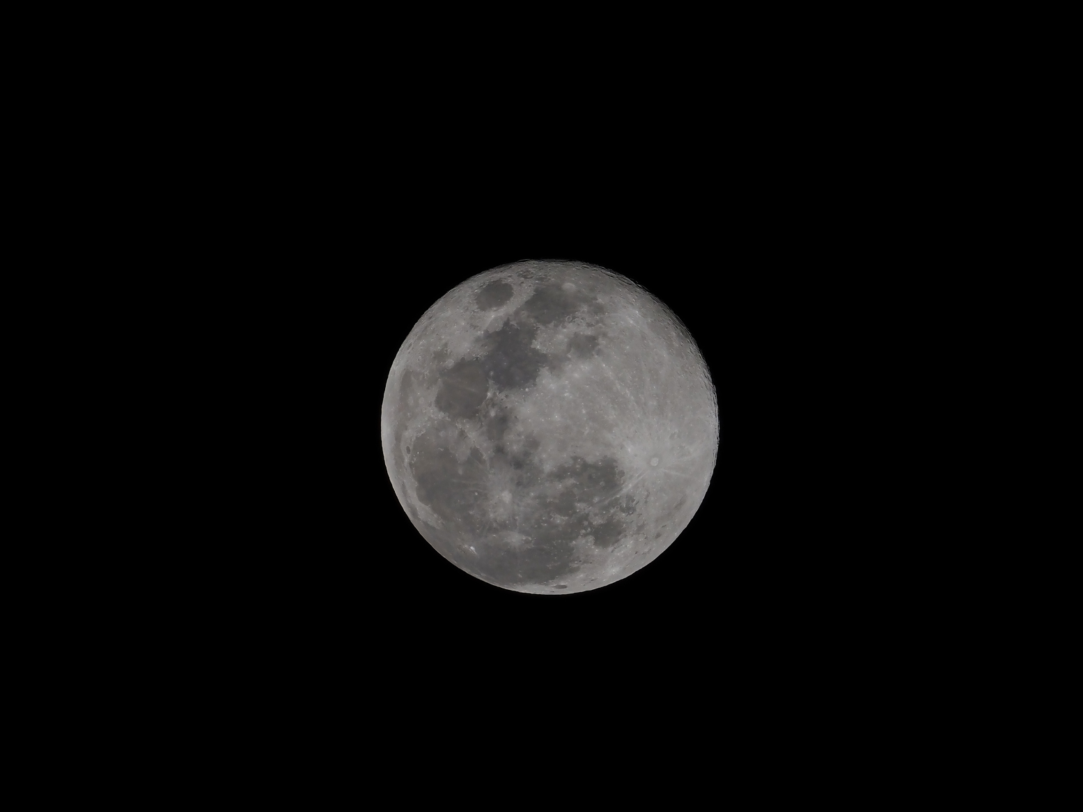 P1152447.jpg