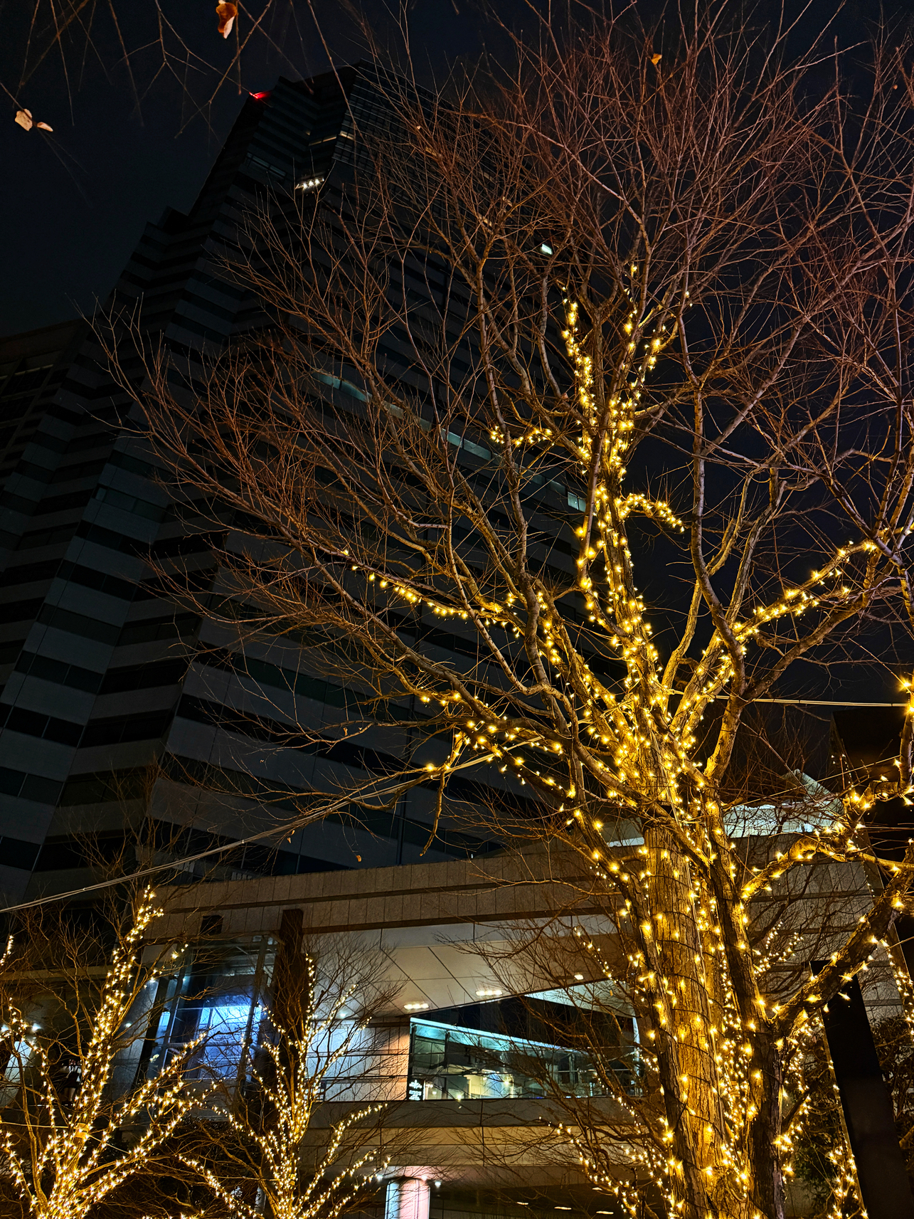 IMG_8085.jpg