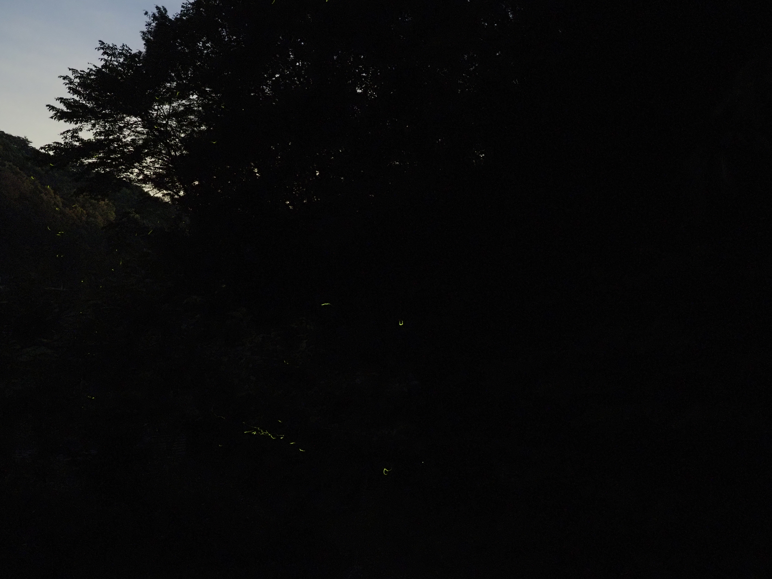P6163417.jpg