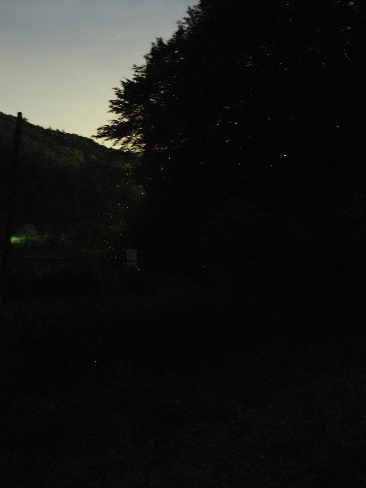 P6163419.jpg