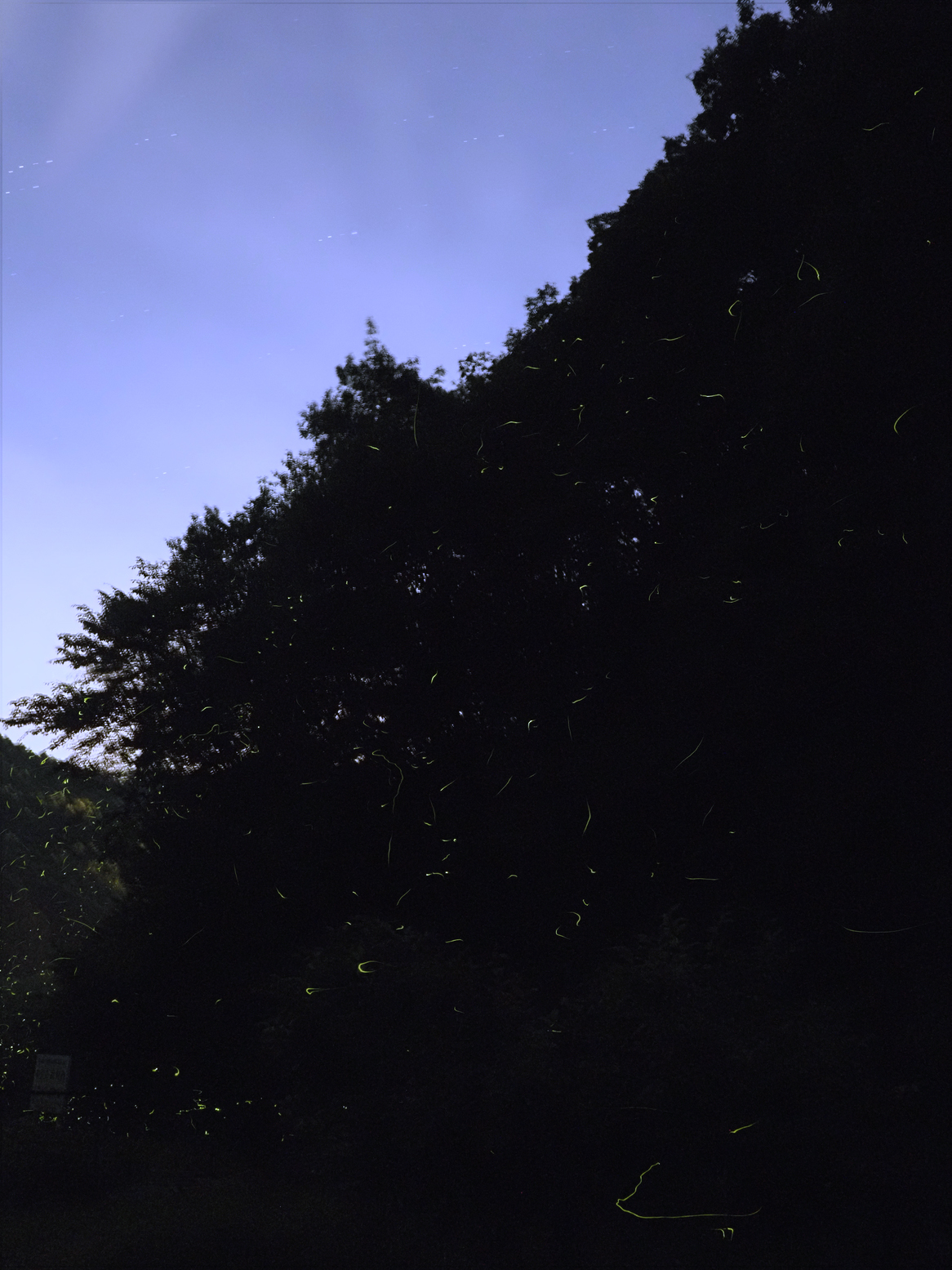 P6163425.jpg
