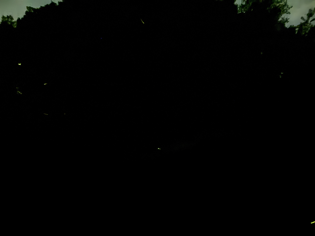 P6163426-004.jpg