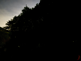 P6163426-005_thumb.png