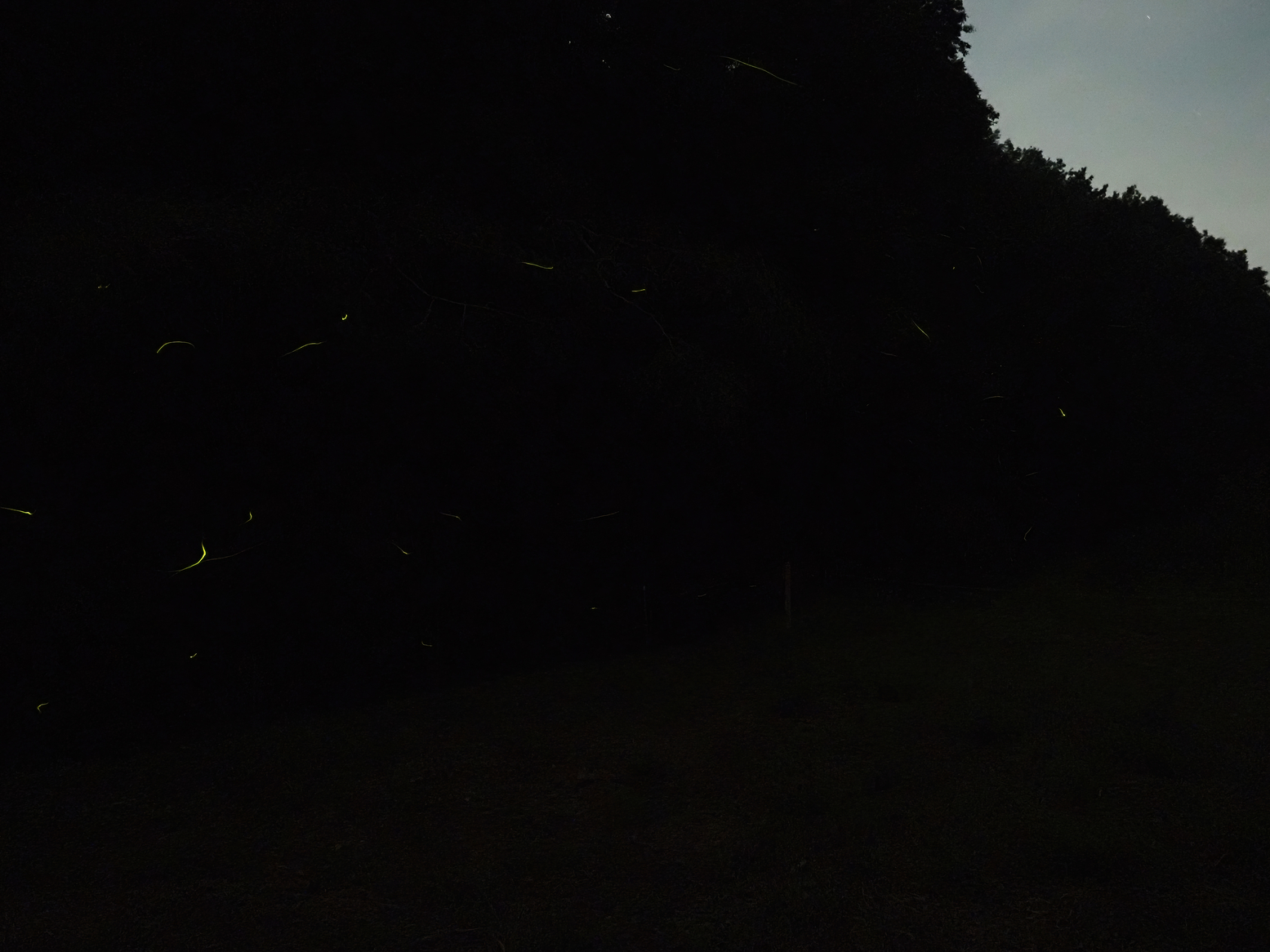 P6163428.jpg