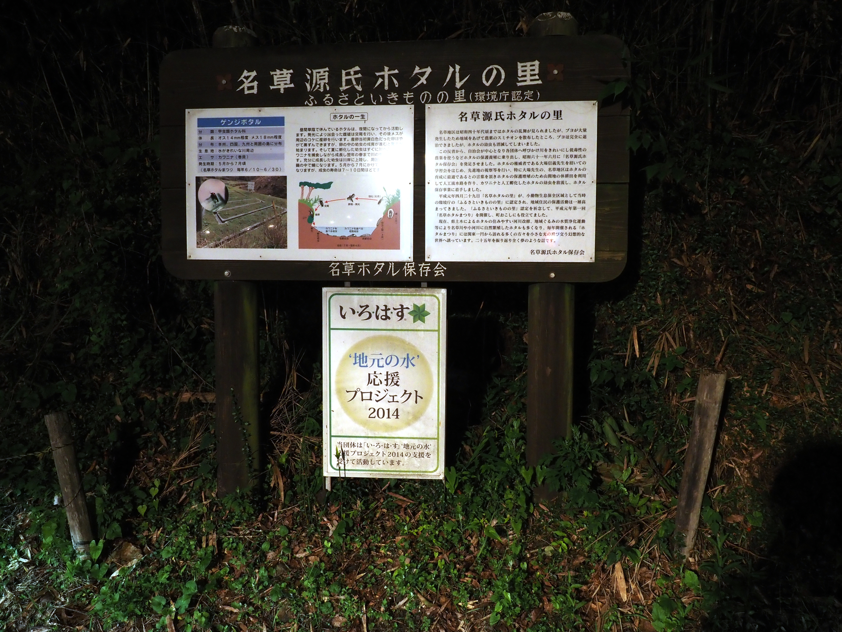 P6163430.jpg