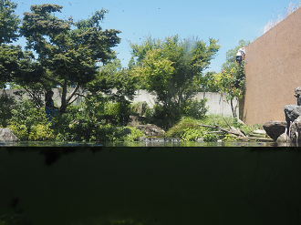 P6223433_thumb.png