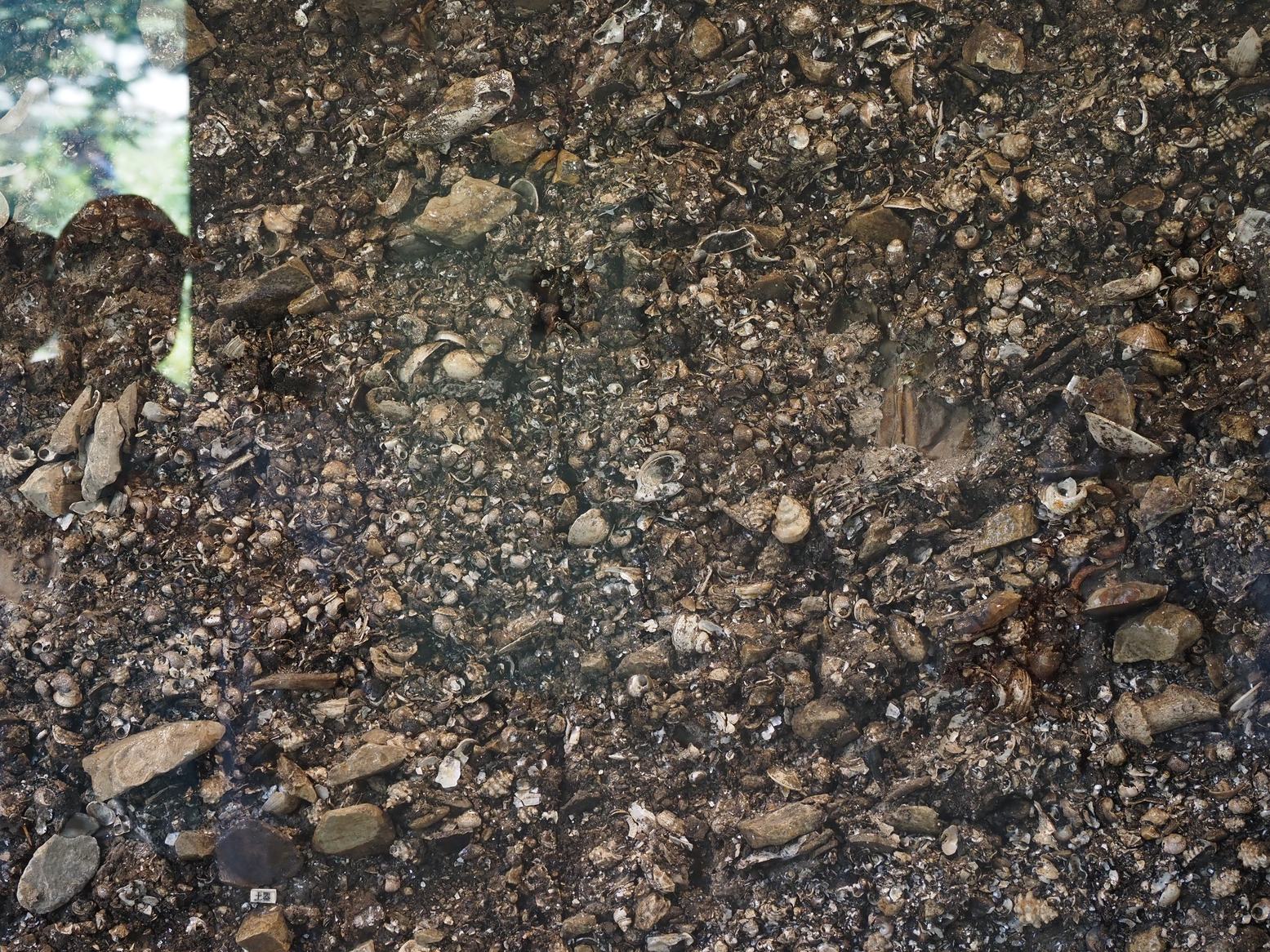 P6223435.jpg