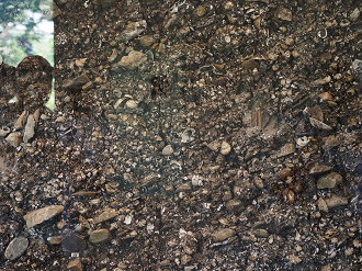P6223435_thumb.png