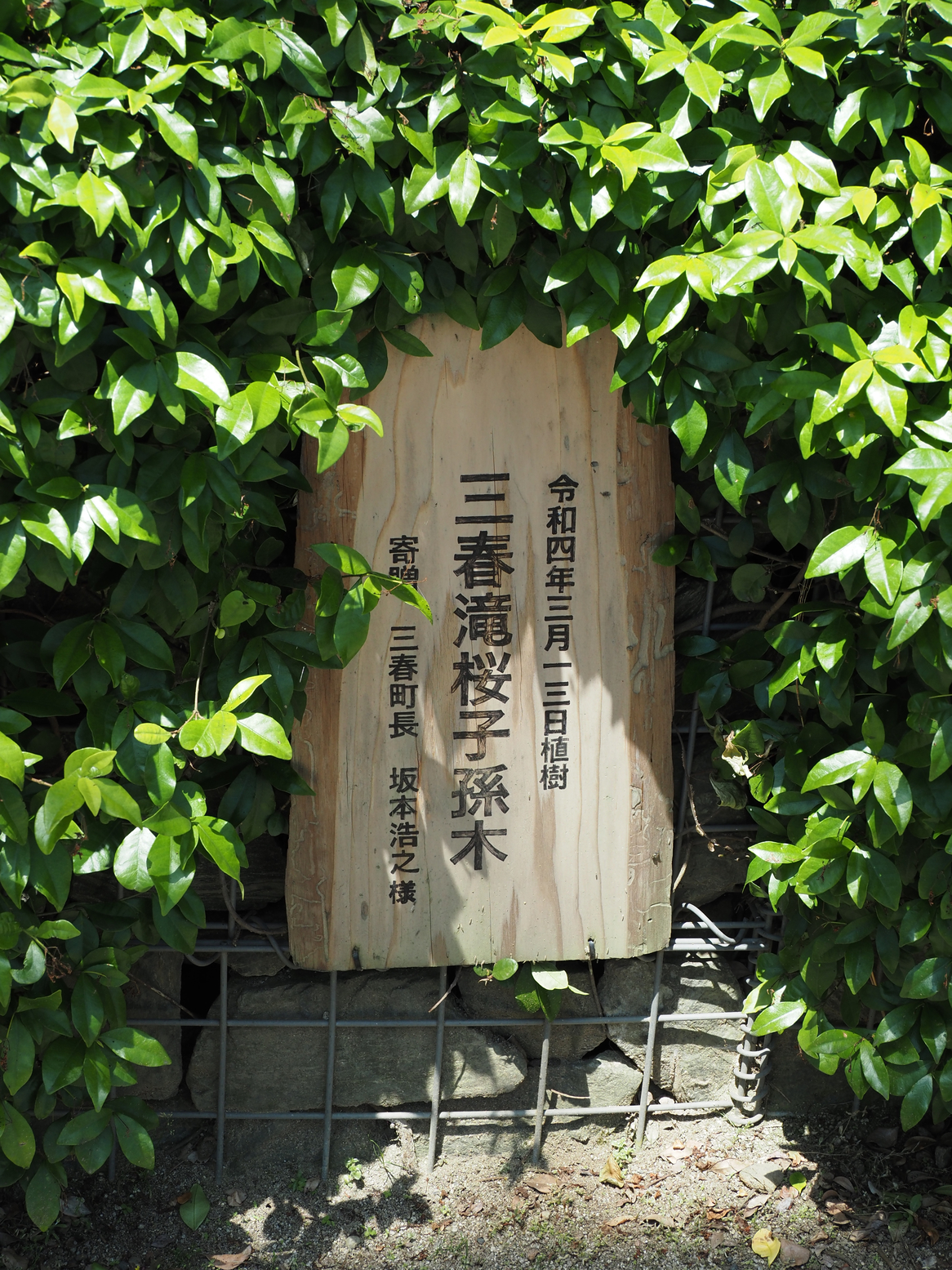 P6223441.jpg