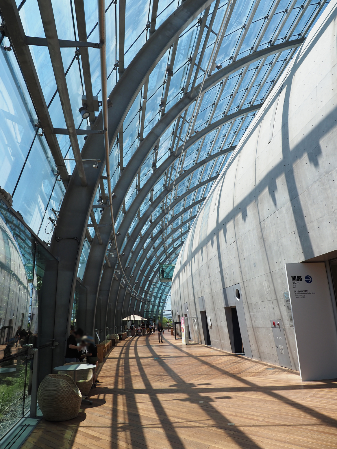 P6223447.jpg