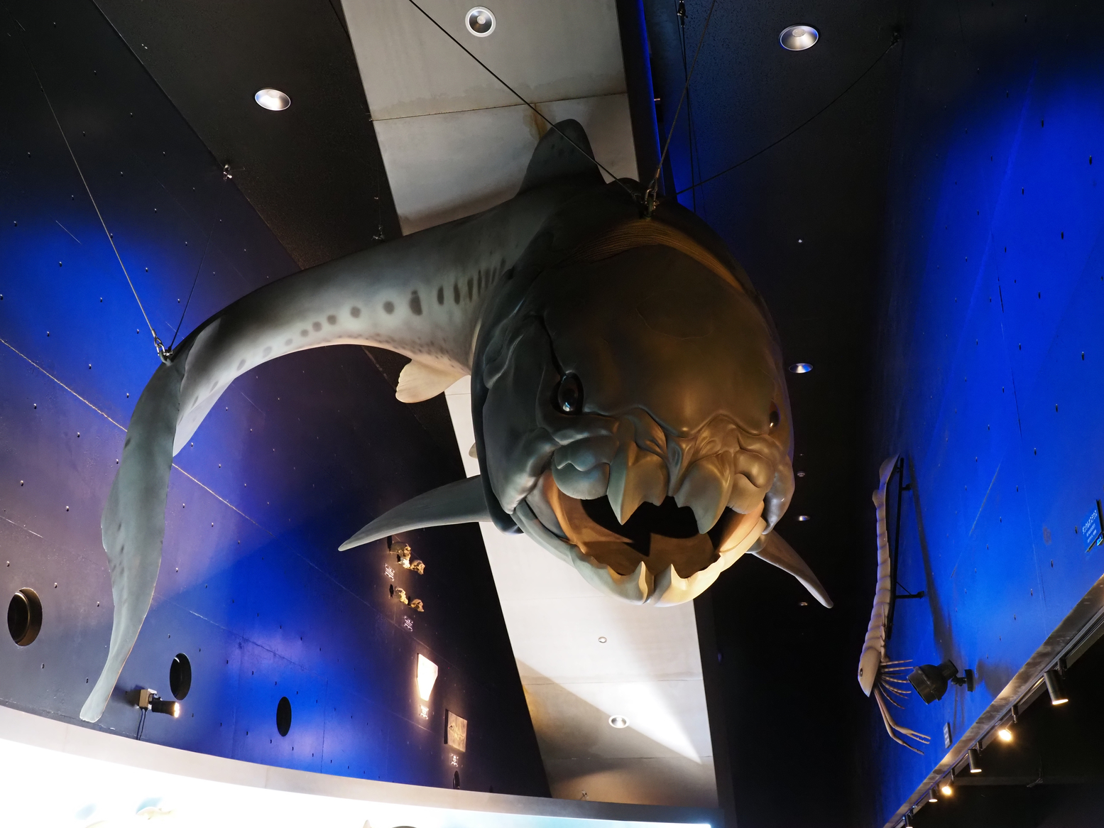 P6223456.jpg
