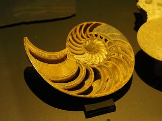 P6223468_thumb.png