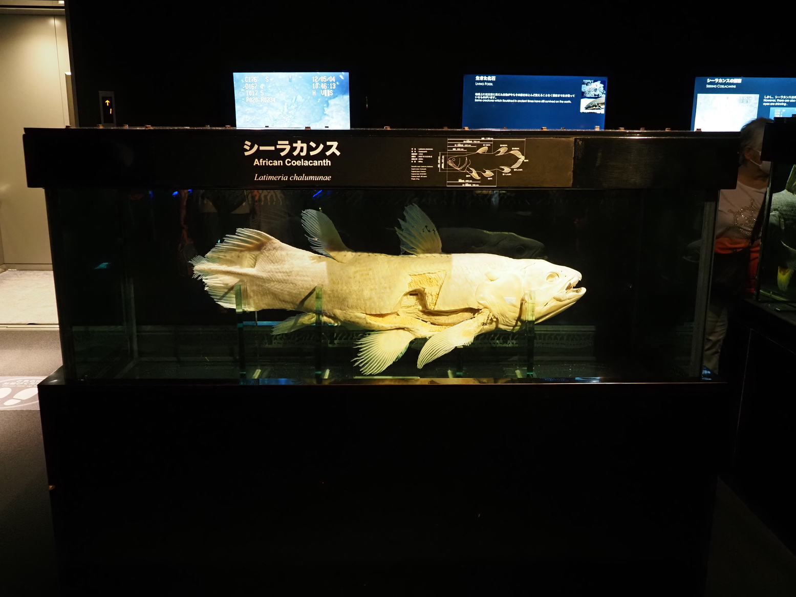 P6223486.jpg