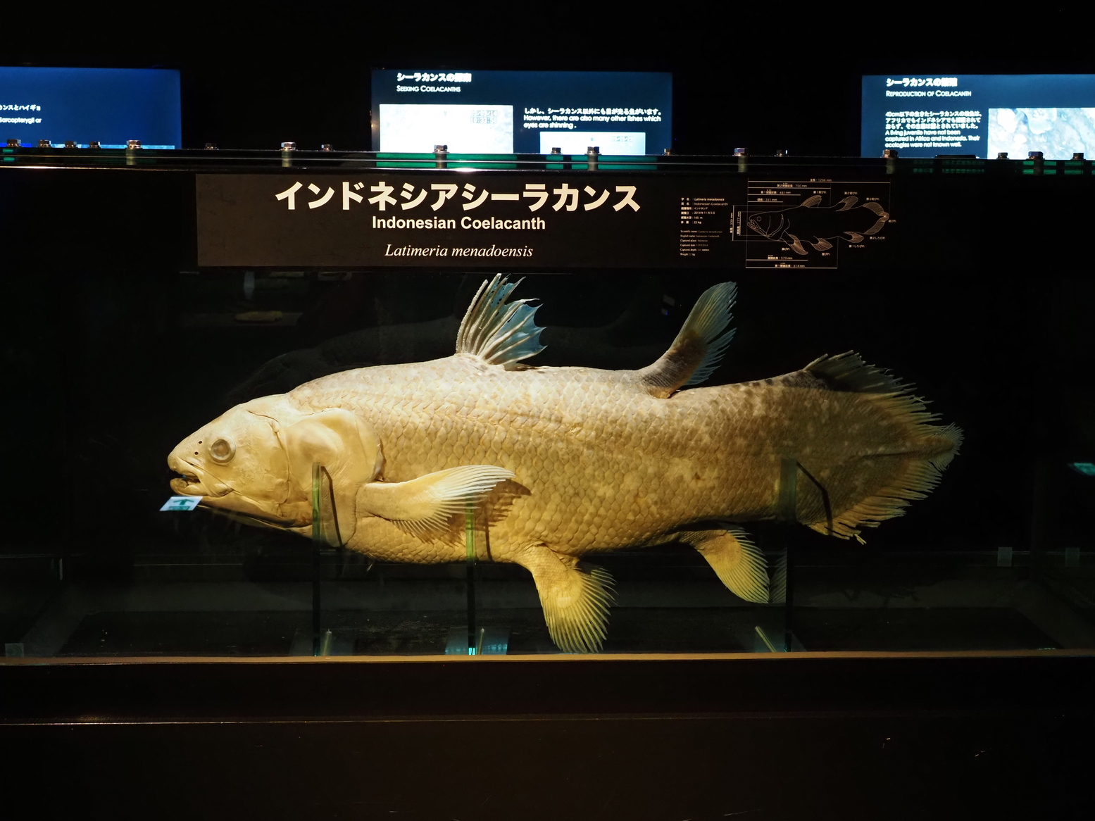 P6223490.jpg