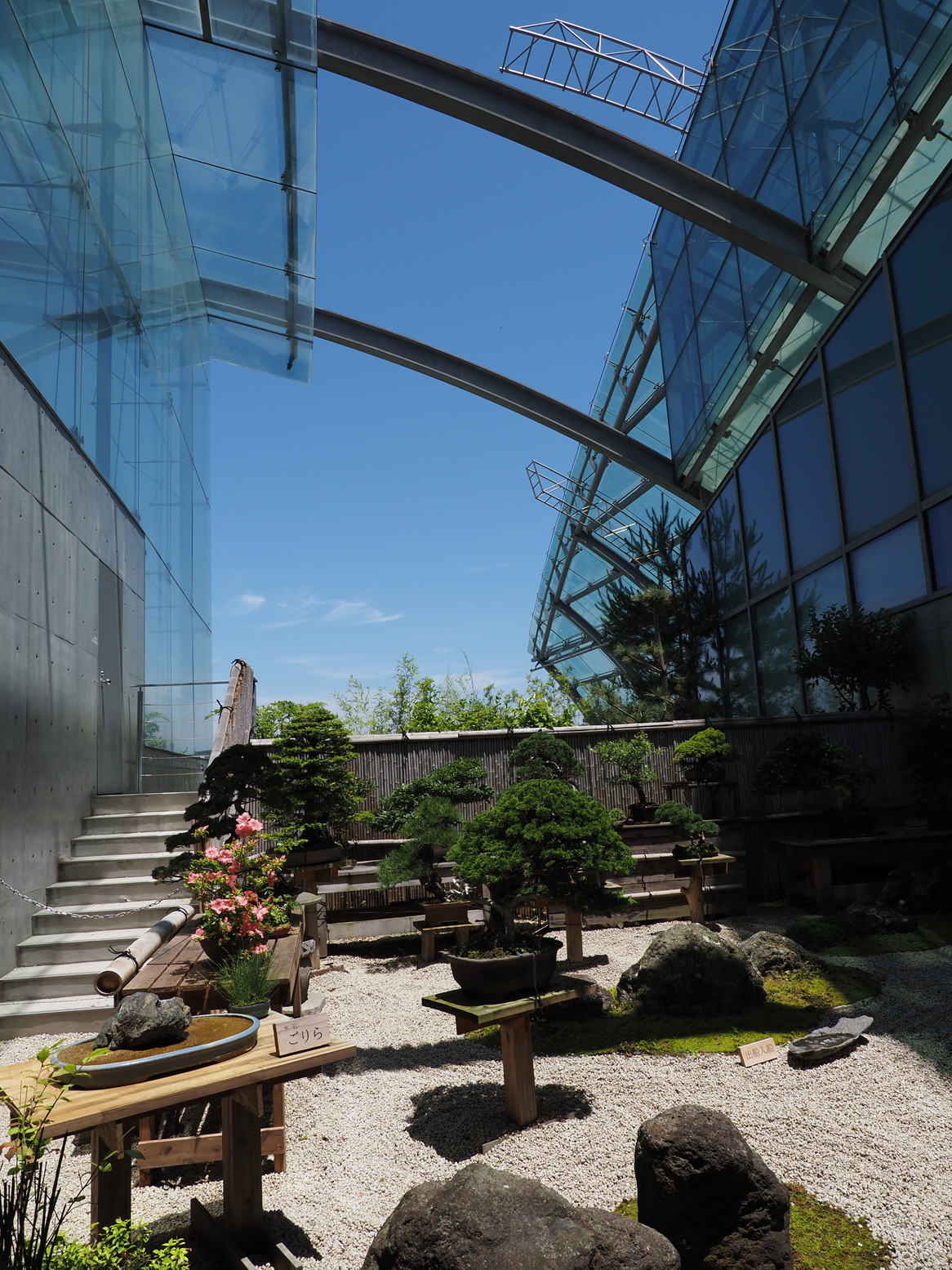 P6223553.jpg