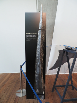 P6223558_thumb.png