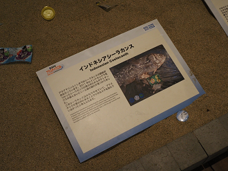 P6223573_thumb.png