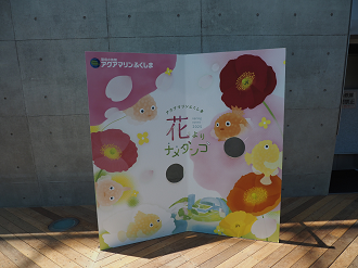 P6223741_thumb.png