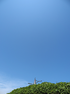 P6223743_thumb.png