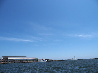 P6223747_thumb.png