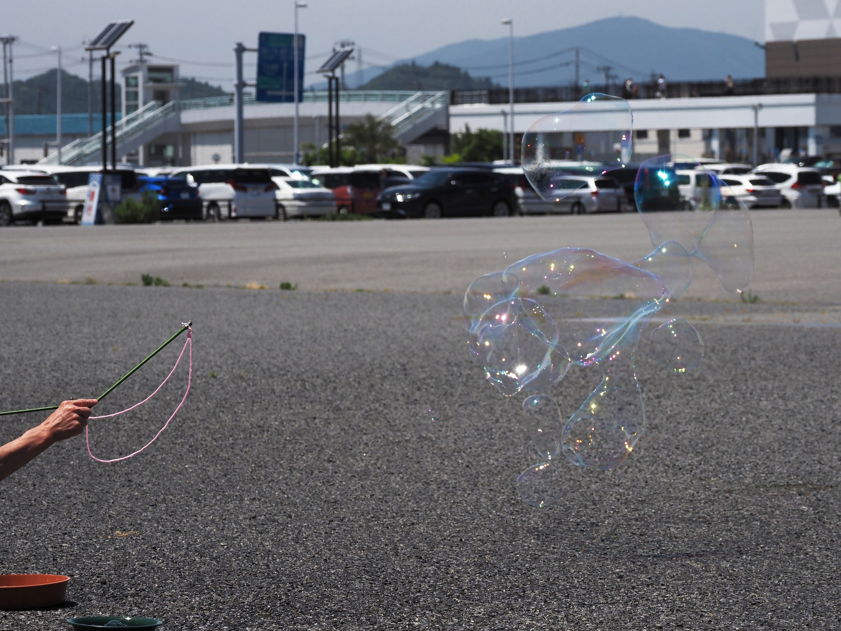 P6223768.jpg