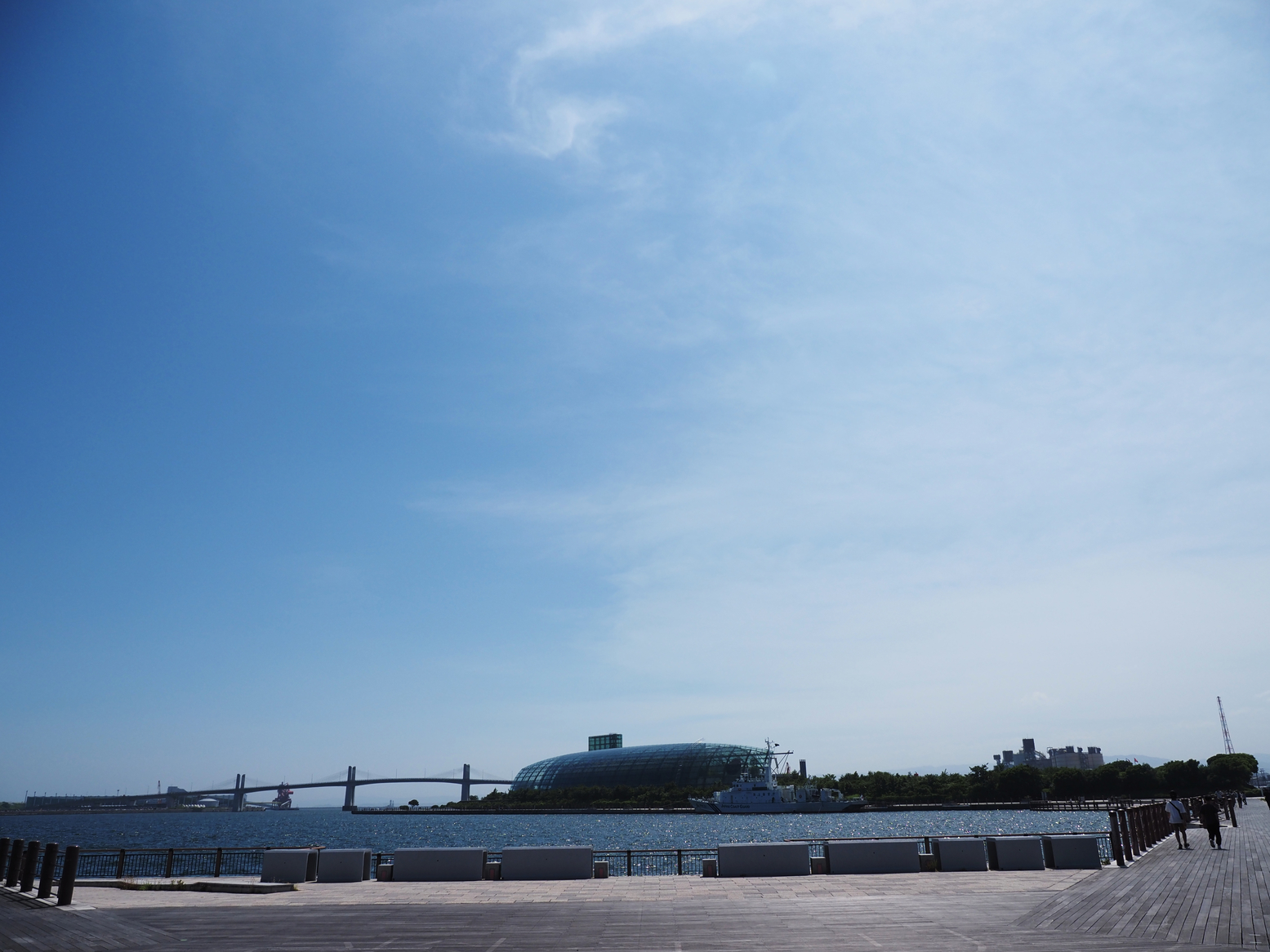 P6223794.jpg