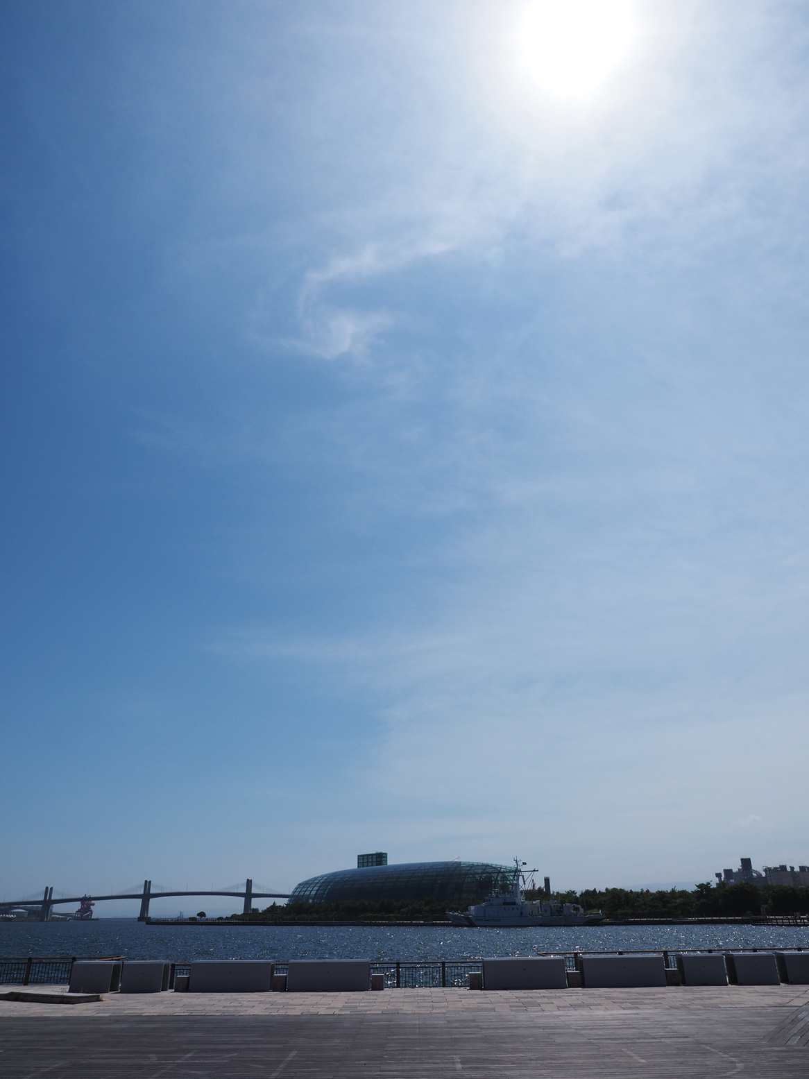 P6223795.jpg